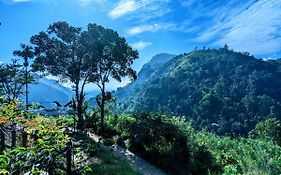 Lavendra Paradise